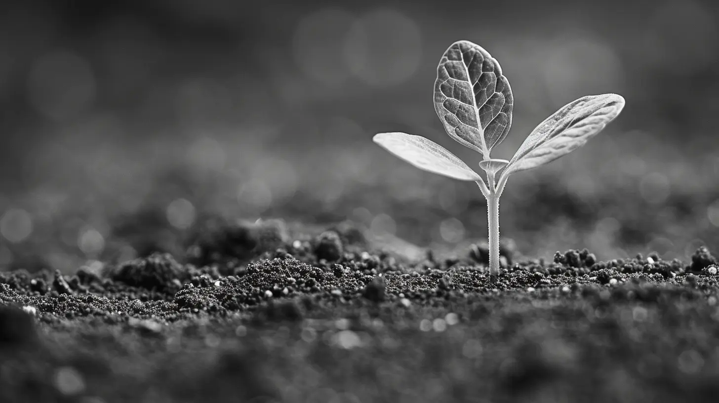 Demystifying Investment Strategies for Beginners