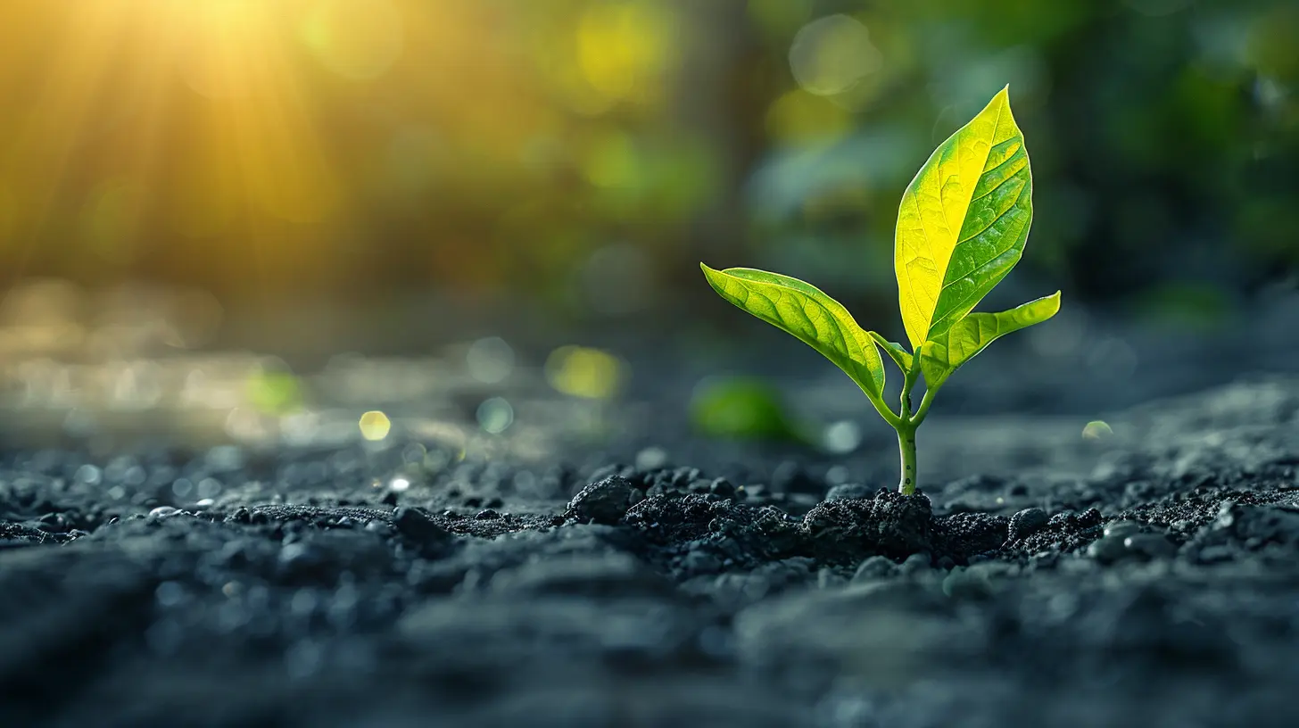 How to Maximize Your 401(k) Contributions