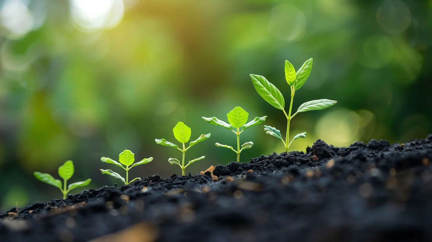 How to Track and Analyze Your Dividend Growth