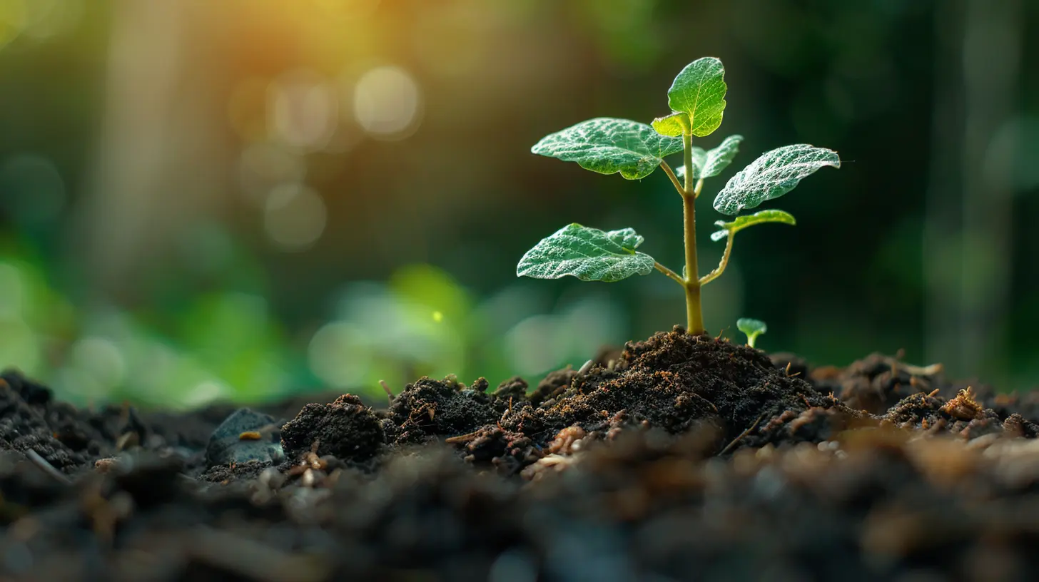 Screening for Dividend Stocks with Strong Fundamentals