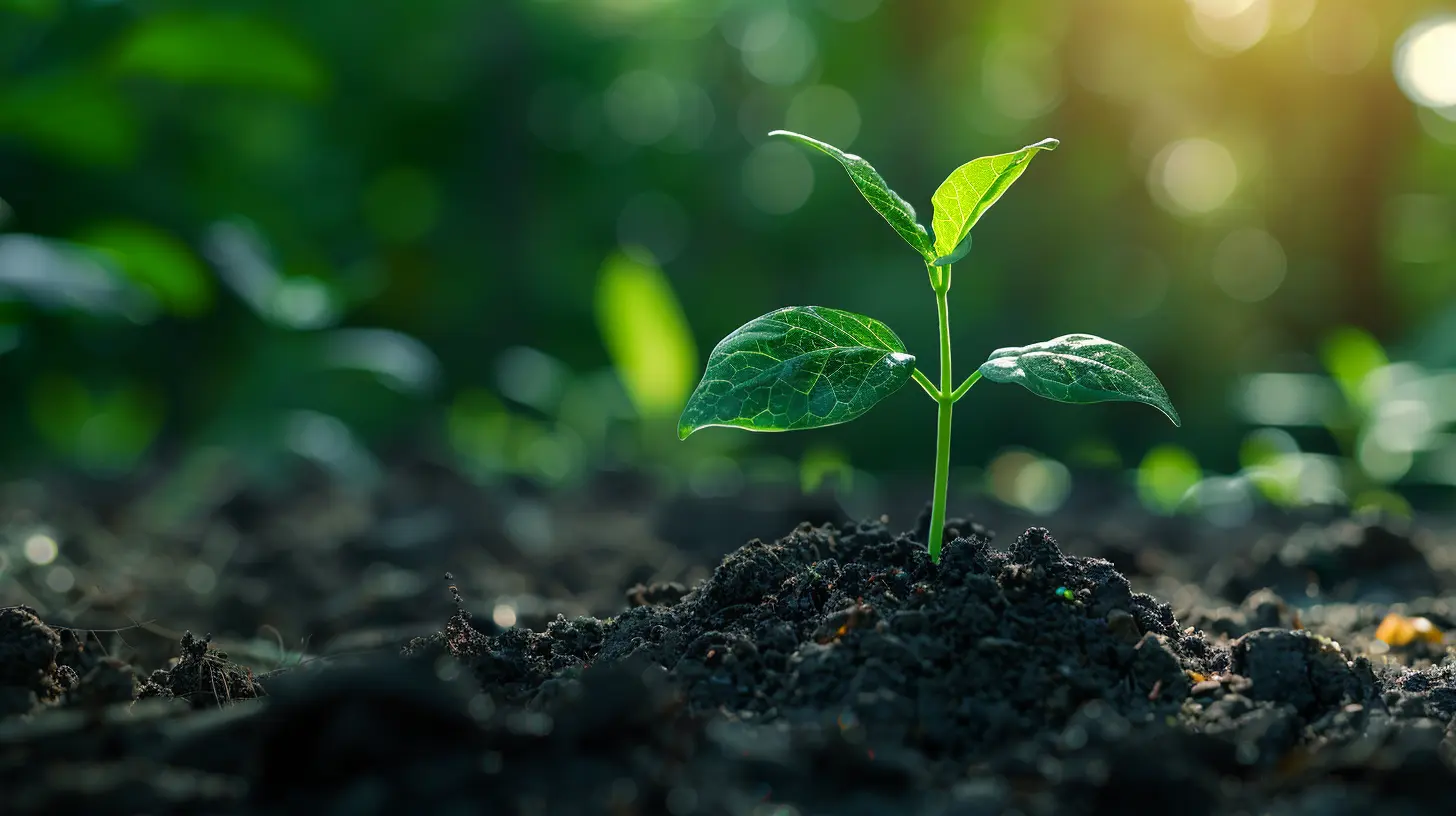 The Importance of Dividend Payout Ratios in Stock Analysis