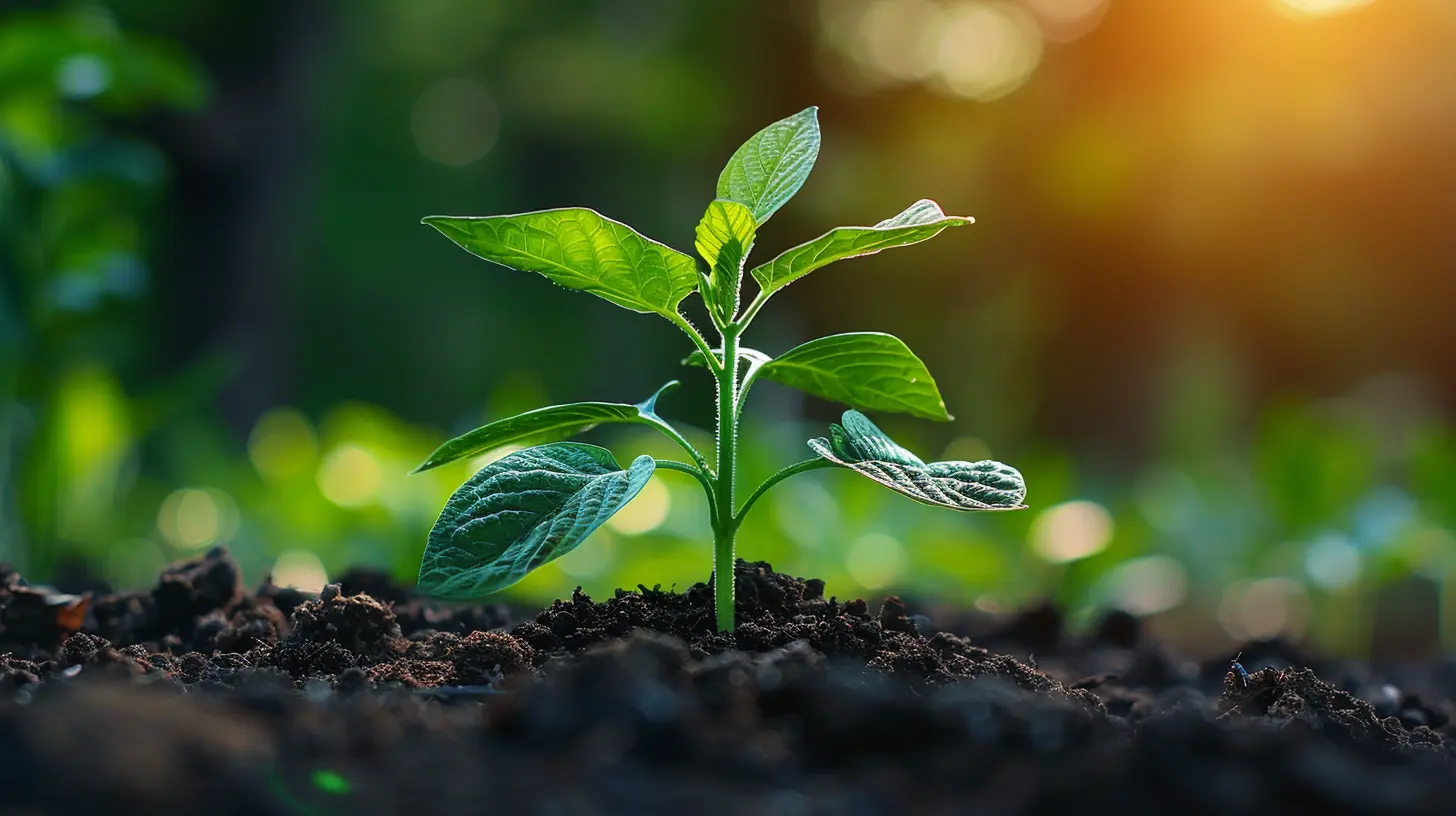 The Power of Compounding Through Dividend Growth Stocks