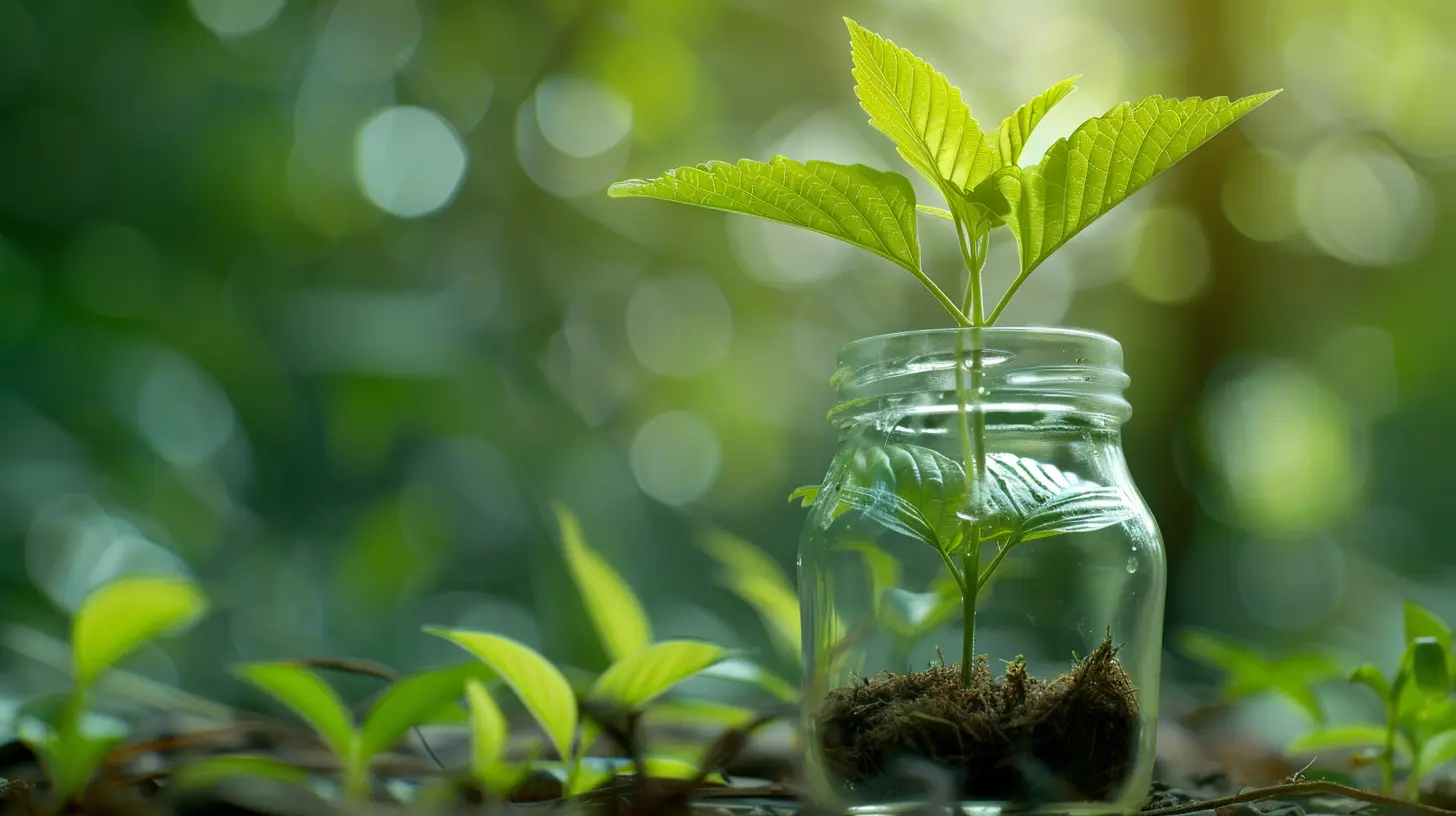 Understanding the Role of Venture Capital in Business Growth