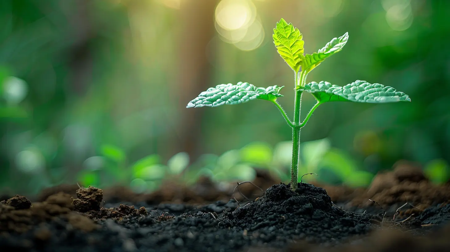 Why Financial Literacy is Vital for Every Startup Founder