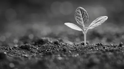 Demystifying Investment Strategies for Beginners