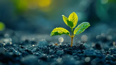 How to Track and Analyze Your Dividend Growth