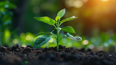 The Power of Compounding Through Dividend Growth Stocks