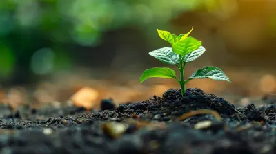 The Role of Cash Flow Statements for Investors and Stakeholders