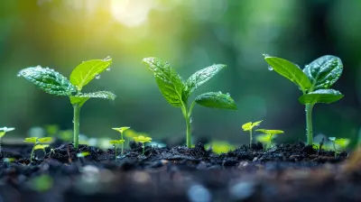 Understanding the Role of Venture Capital in Business Growth