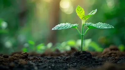 Why Financial Literacy is Vital for Every Startup Founder