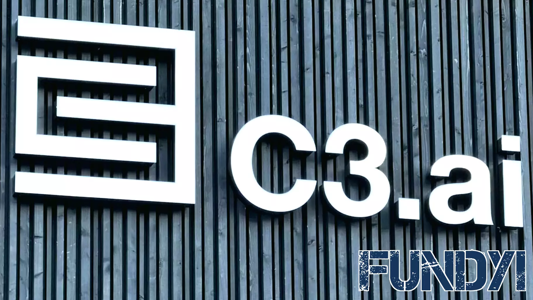C3.ai Stock Takes a Hit Following Earnings Report