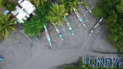 Financing Ecosystem-Based Adaptation: Challenges and Opportunities Ahead