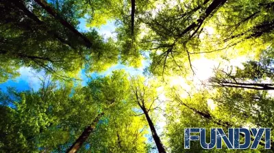 Harnessing Outcomes-Based Financing to Boost Nature-Based Solutions