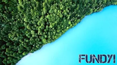 New Global Resource Aims to Enhance Sustainable Finance Frameworks